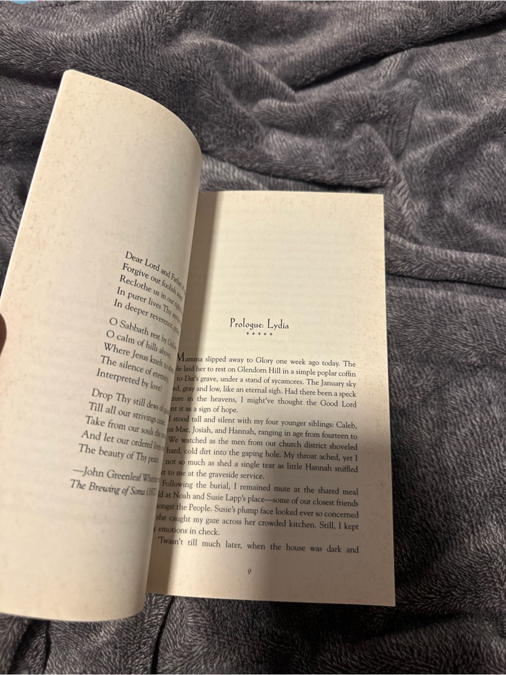 Book - Picture 9 of 9